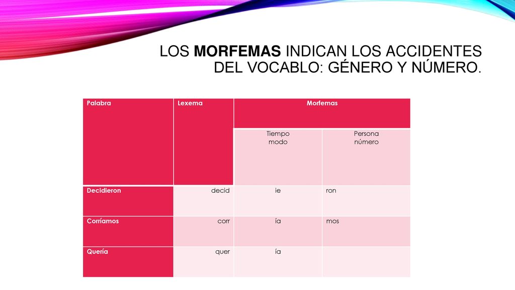 LOS MORFEMAS INDICAN LOS ACCIDENTES DEL VOCABLO: GÉNERO Y NÚMERO.