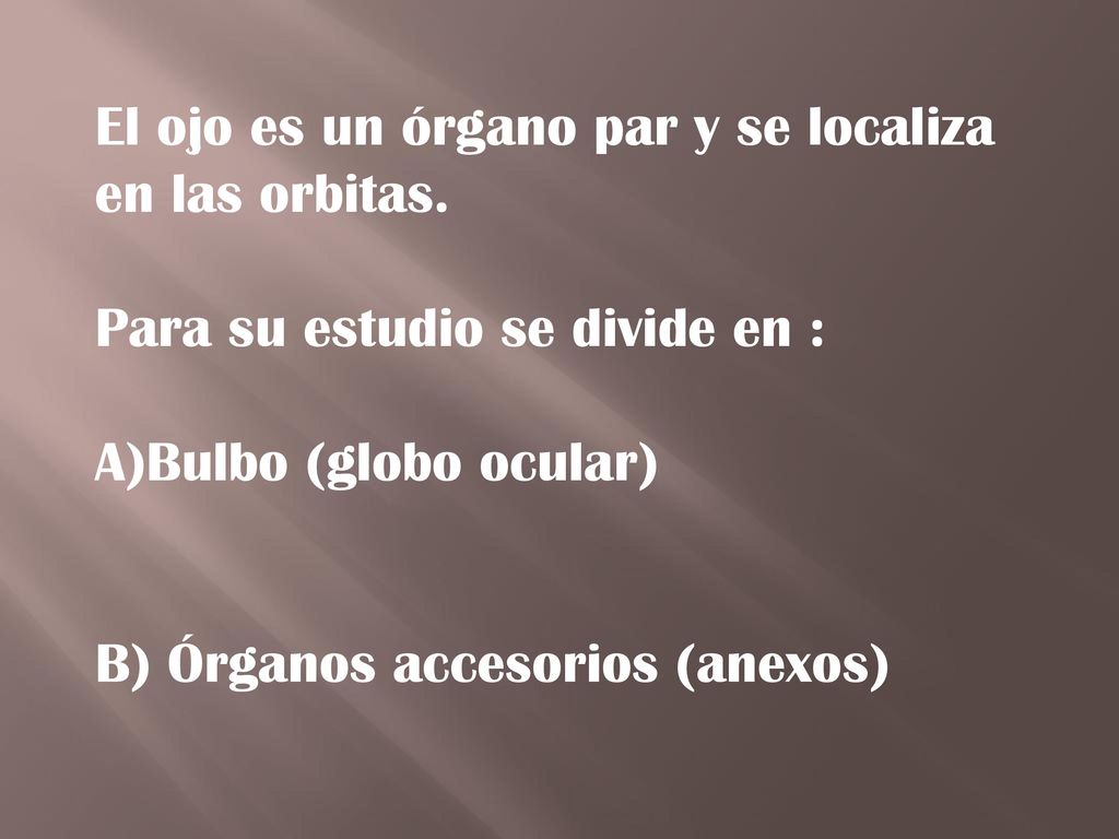 El ojo es un órgano par y se localiza en las orbitas.