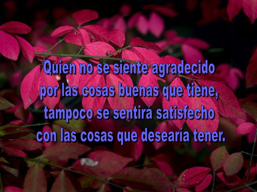 Quien no se siente agradecido por las cosas buenas que tiene,