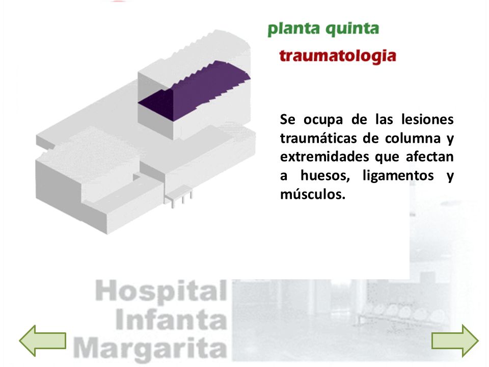 Se ocupa de las lesiones traumáticas de columna y extremidades que afectan a huesos, ligamentos y músculos.