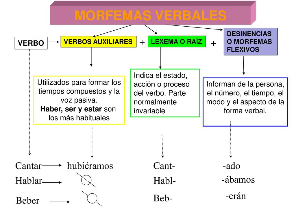 MORFEMAS VERBALES + + Cantar hubiéramos Cant- -ado Hablar Habl-