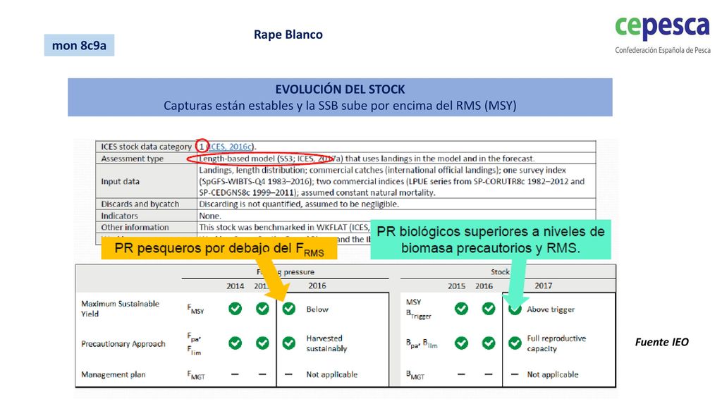 Capturas están estables y la SSB sube por encima del RMS (MSY)