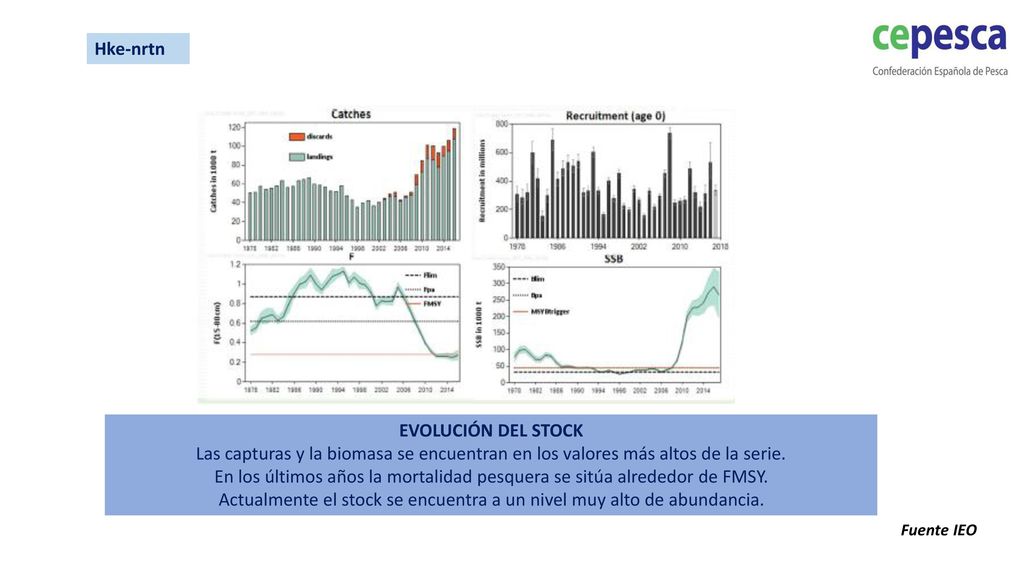 En los últimos años la mortalidad pesquera se sitúa alrededor de FMSY.