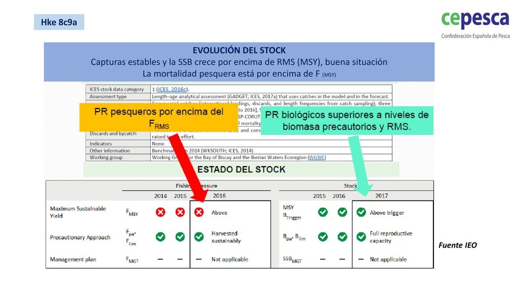 La mortalidad pesquera está por encima de F (MSY)