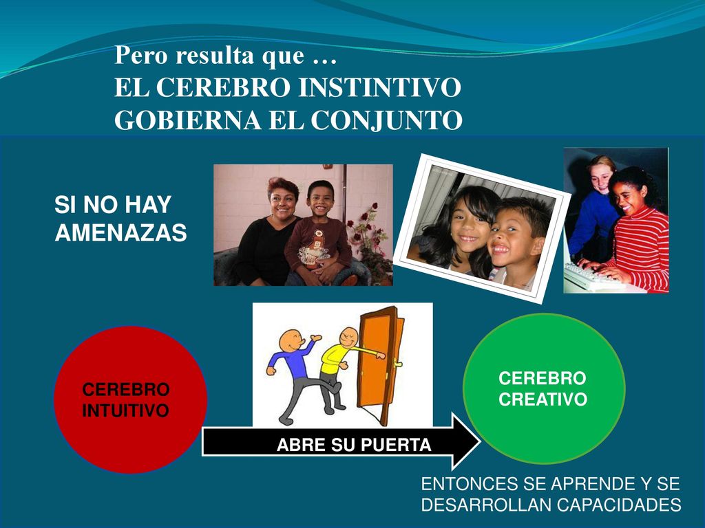 Pero resulta que … EL CEREBRO INSTINTIVO GOBIERNA EL CONJUNTO