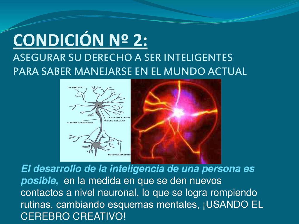 CONDICIÓN Nº 2: ASEGURAR SU DERECHO A SER INTELIGENTES PARA SABER MANEJARSE EN EL MUNDO ACTUAL