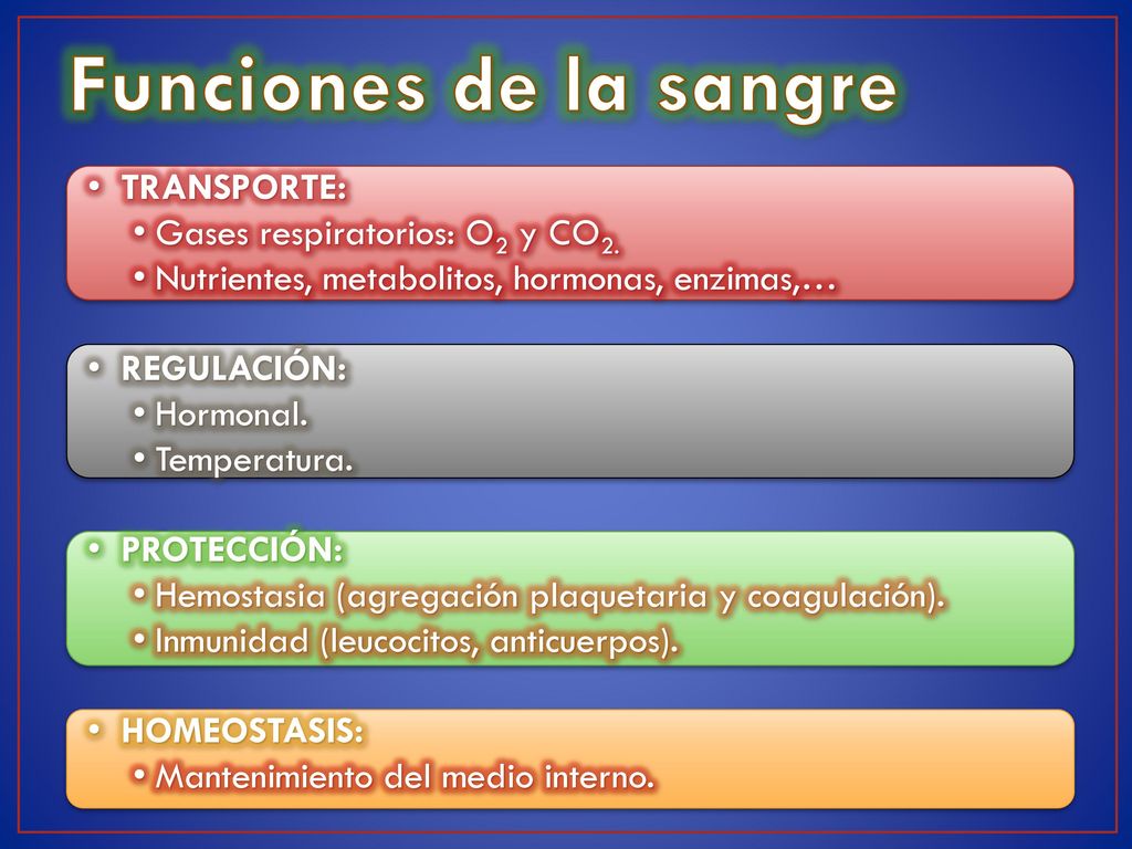 Funciones de la sangre TRANSPORTE: Gases respiratorios: O2 y CO2.