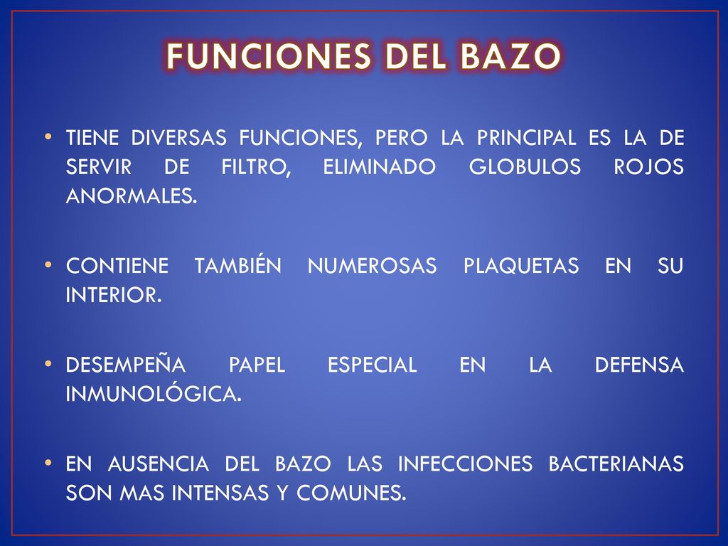 FUNCIONES DEL BAZO TIENE DIVERSAS FUNCIONES, PERO LA PRINCIPAL ES LA DE SERVIR DE FILTRO, ELIMINADO GLOBULOS ROJOS ANORMALES.