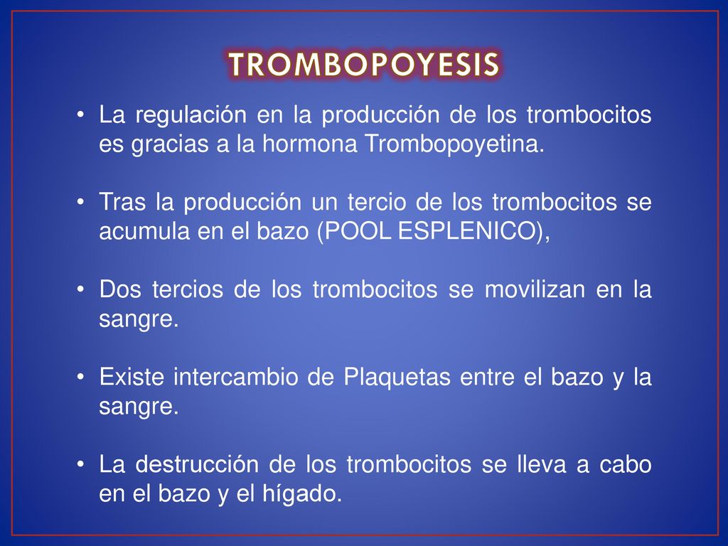 TROMBOPOYESIS La regulación en la producción de los trombocitos es gracias a la hormona Trombopoyetina.