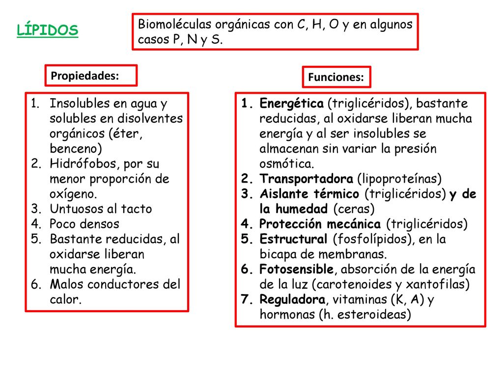 Biomoléculas orgánicas con C, H, O y en algunos casos P, N y S.