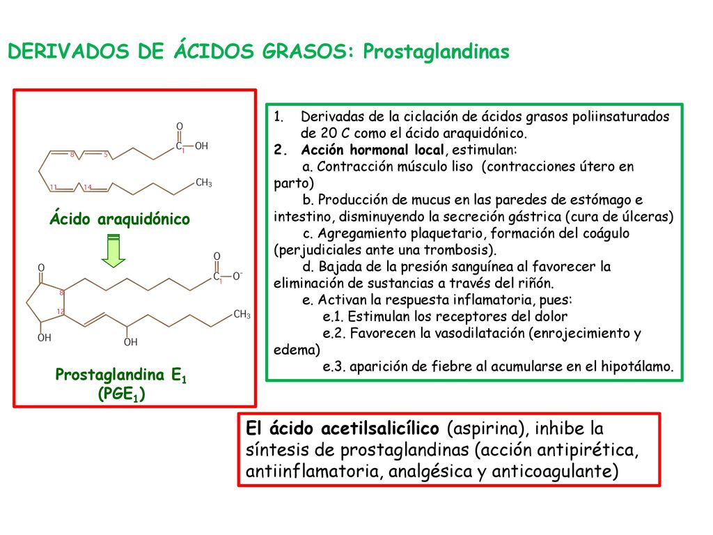 DERIVADOS DE ÁCIDOS GRASOS: Prostaglandinas