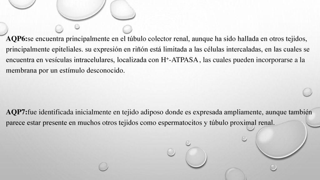 AQP6:se encuentra principalmente en el túbulo colector renal, aunque ha sido hallada en otros tejidos, principalmente epiteliales. su expresión en riñón está limitada a las células intercaladas, en las cuales se encuentra en vesículas intracelulares, localizada con H+-ATPASA , las cuales pueden incorporarse a la membrana por un estímulo desconocido.