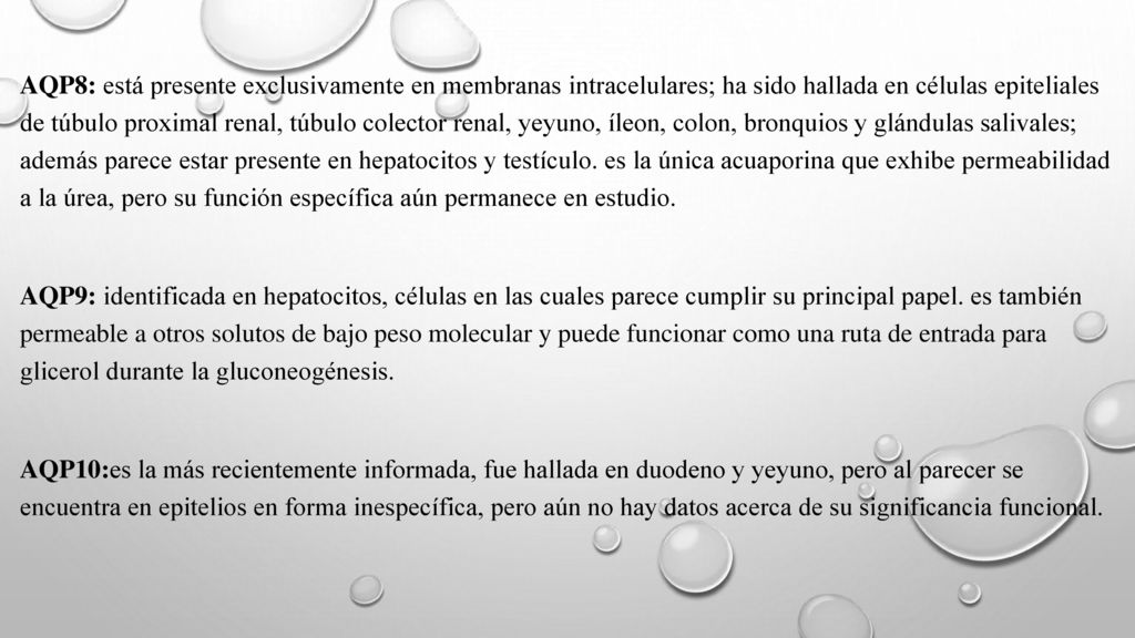 AQP8: está presente exclusivamente en membranas intracelulares; ha sido hallada en células epiteliales de túbulo proximal renal, túbulo colector renal, yeyuno, íleon, colon, bronquios y glándulas salivales; además parece estar presente en hepatocitos y testículo. es la única acuaporina que exhibe permeabilidad a la úrea, pero su función específica aún permanece en estudio.