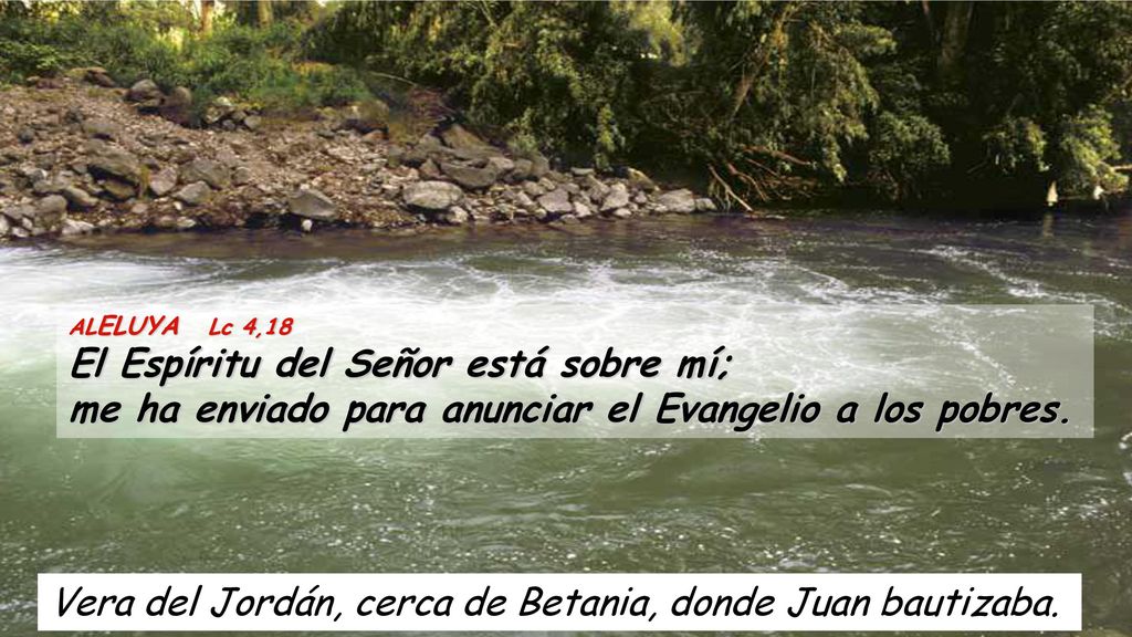 Vera del Jordán, cerca de Betania, donde Juan bautizaba.