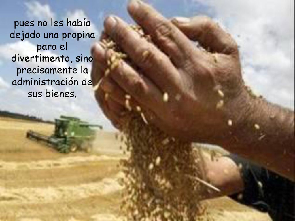 pues no les había dejado una propina para el divertimento, sino precisamente la administración de sus bienes.