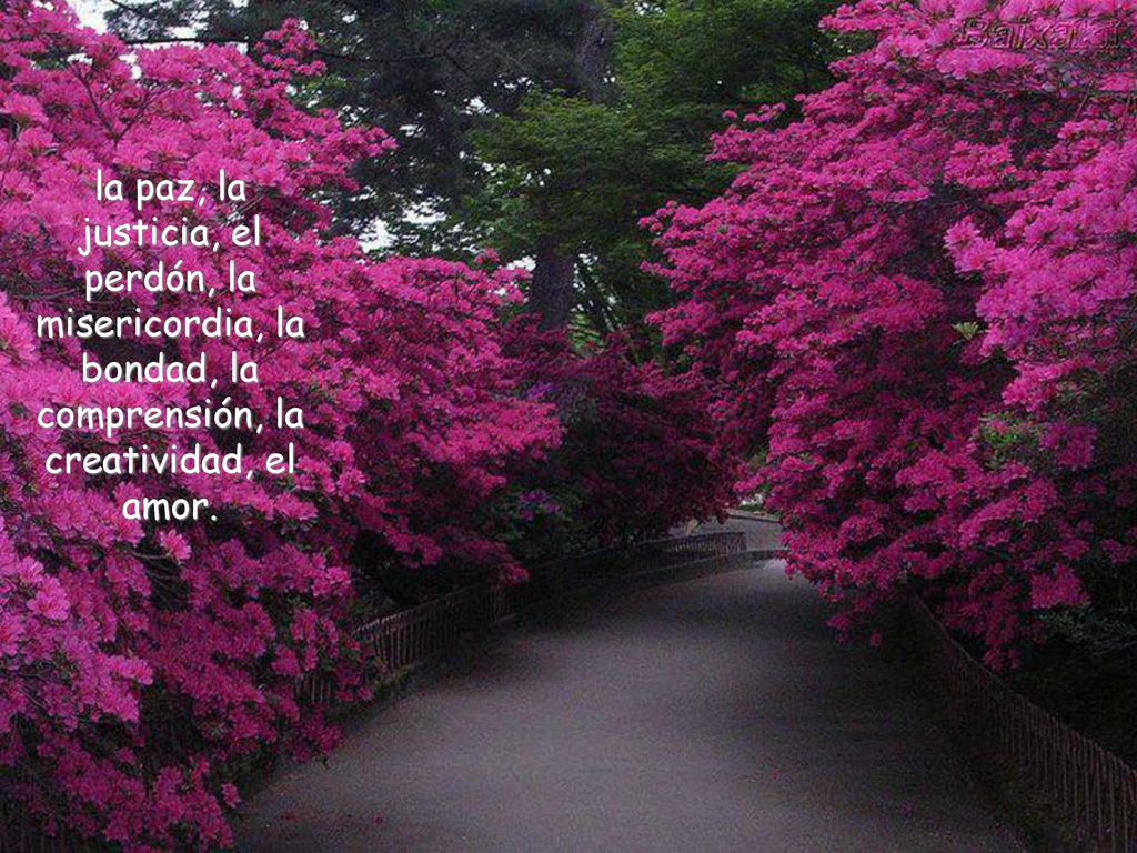la paz, la justicia, el perdón, la misericordia, la bondad, la comprensión, la creatividad, el amor.