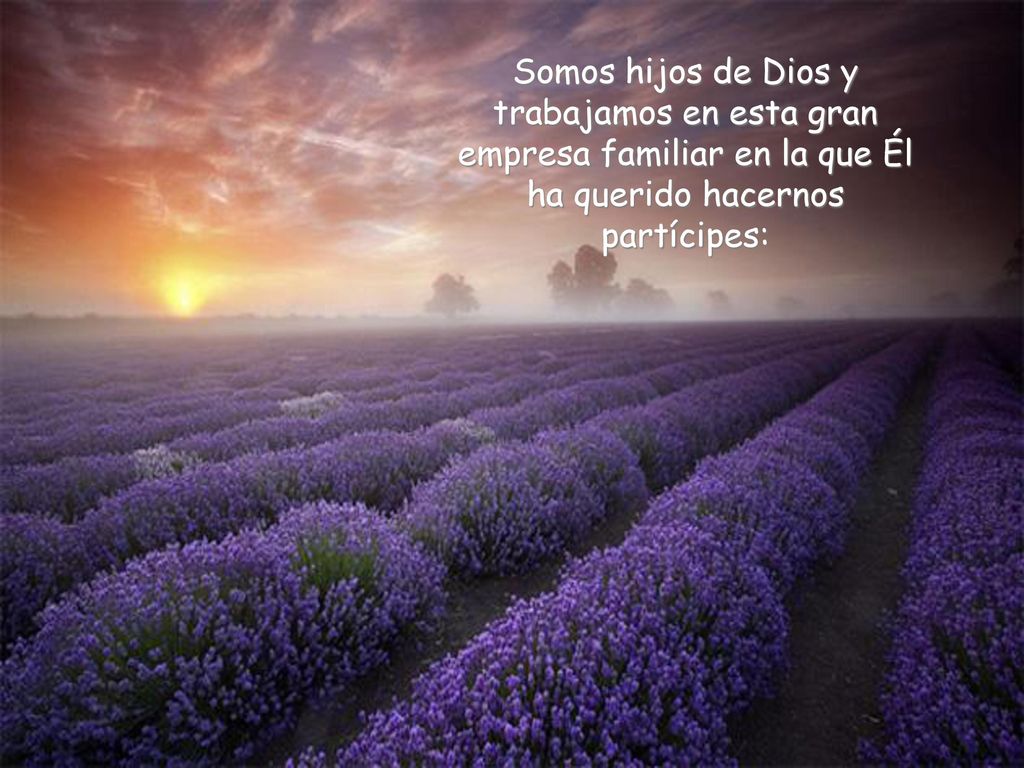 Somos hijos de Dios y trabajamos en esta gran empresa familiar en la que Él ha querido hacernos partícipes: