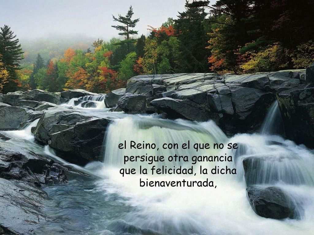 el Reino, con el que no se persigue otra ganancia que la felicidad, la dicha bienaventurada,
