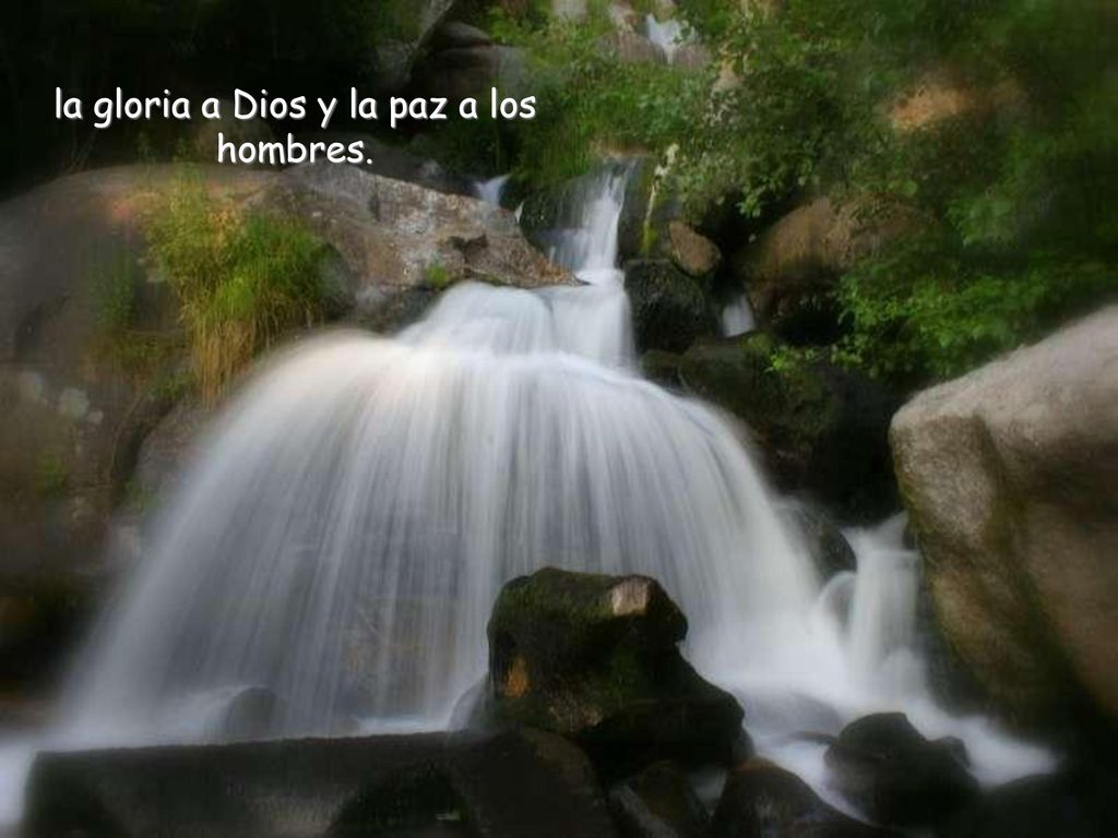 la gloria a Dios y la paz a los hombres.
