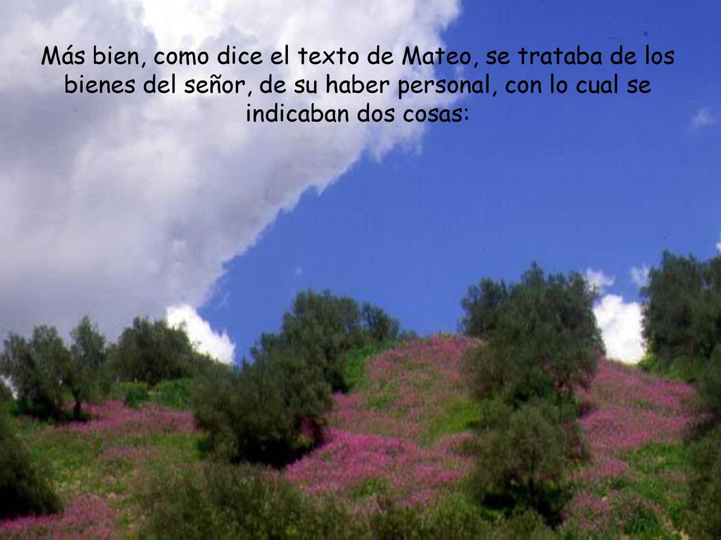 Más bien, como dice el texto de Mateo, se trataba de los bienes del señor, de su haber personal, con lo cual se indicaban dos cosas: