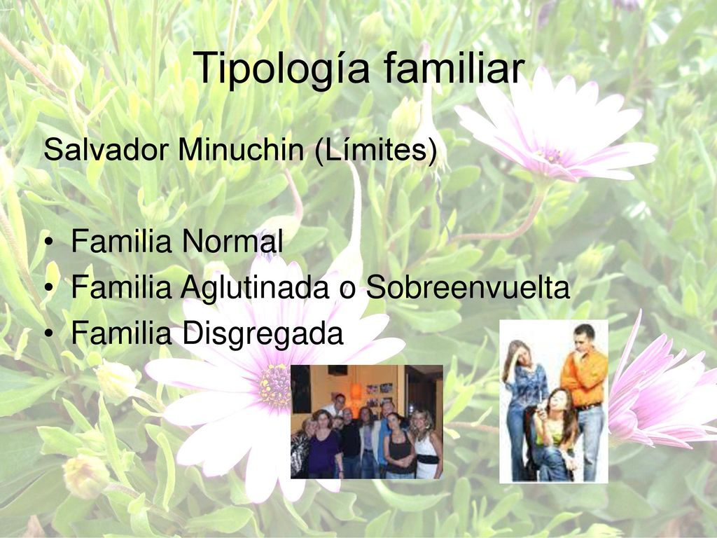 Tipología familiar Salvador Minuchin (Límites) Familia Normal