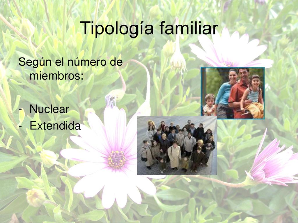 Tipología familiar Según el número de miembros: Nuclear Extendida