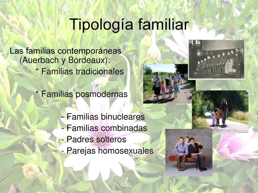 Tipología familiar Las familias contemporáneas (Auerbach y Bordeaux):