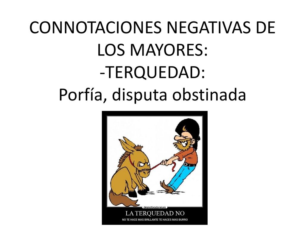 CONNOTACIONES NEGATIVAS DE LOS MAYORES: -TERQUEDAD: Porfía, disputa obstinada