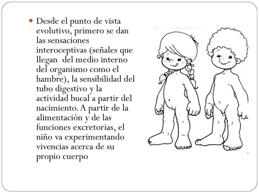 Desde el punto de vista evolutivo, primero se dan las sensaciones interoceptivas (señales que llegan del medio interno del organismo como el hambre), la sensibilidad del tubo digestivo y la actividad bucal a partir del nacimiento.