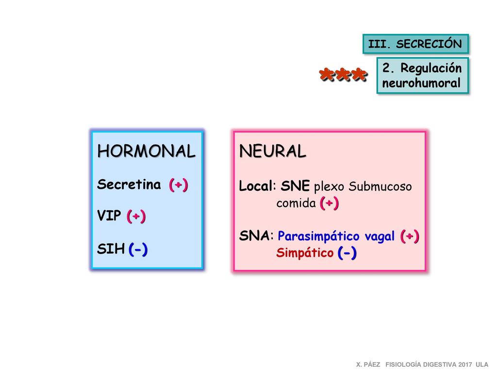 *** HORMONAL NEURAL Secretina (+) Local: SNE plexo Submucoso VIP (+)
