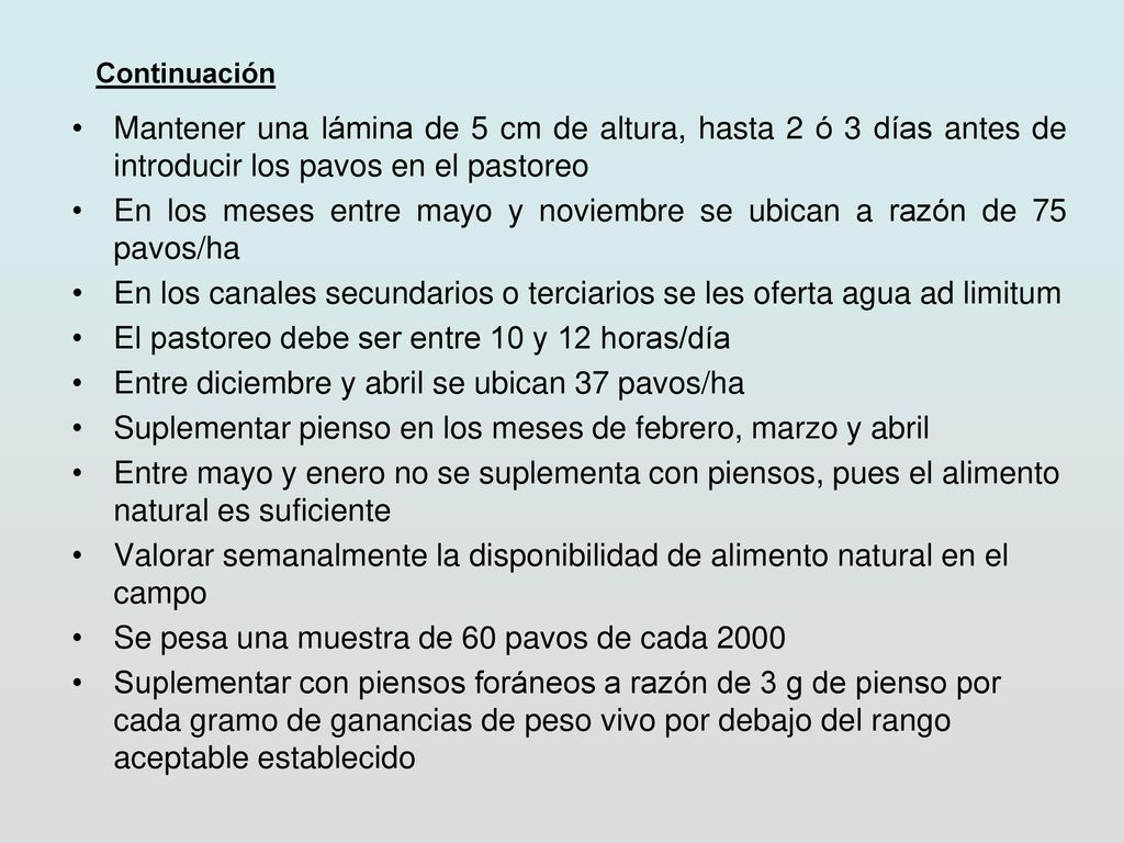 En los meses entre mayo y noviembre se ubican a razón de 75 pavos/ha