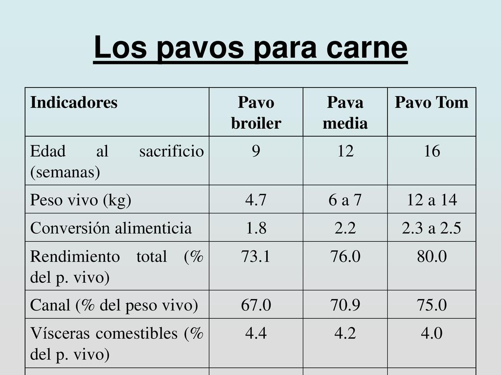 Los pavos para carne Indicadores Pavo broiler Pava media Pavo Tom