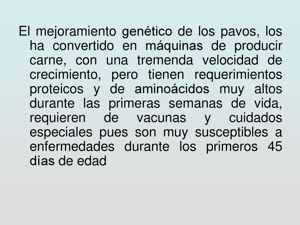 El mejoramiento genético de los pavos, los ha convertido en máquinas de producir carne, con una tremenda velocidad de crecimiento, pero tienen requerimientos proteicos y de aminoácidos muy altos durante las primeras semanas de vida, requieren de vacunas y cuidados especiales pues son muy susceptibles a enfermedades durante los primeros 45 días de edad