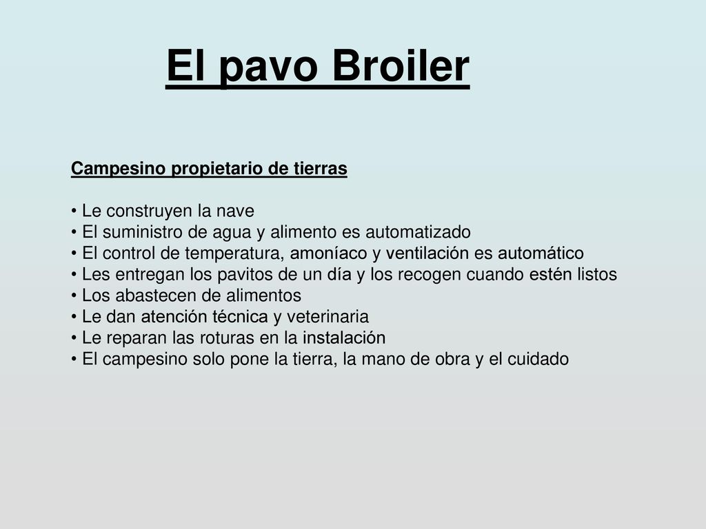 El pavo Broiler Campesino propietario de tierras Le construyen la nave