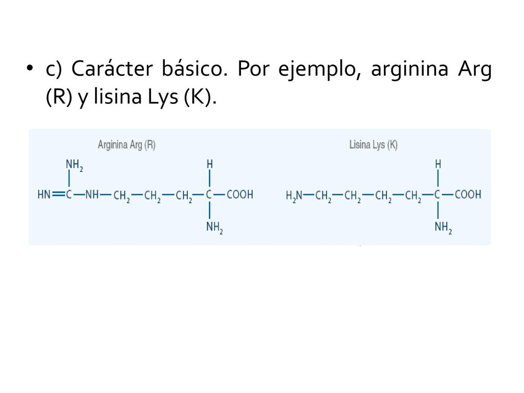 c) Carácter básico. Por ejemplo, arginina Arg (R) y lisina Lys (K).
