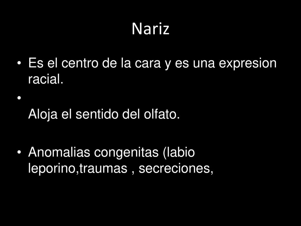 Nariz Es el centro de la cara y es una expresion racial.