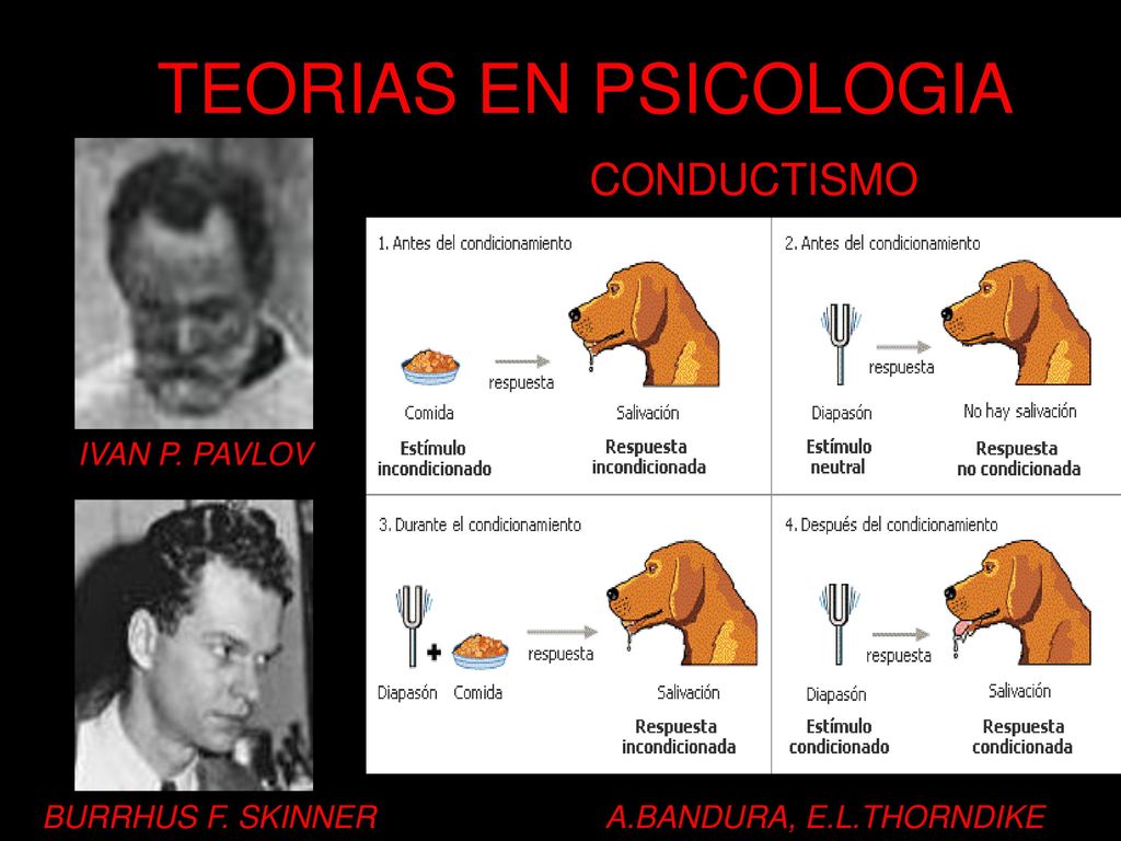 TEORIAS EN PSICOLOGIA CONDUCTISMO IVAN P. PAVLOV BURRHUS F. SKINNER