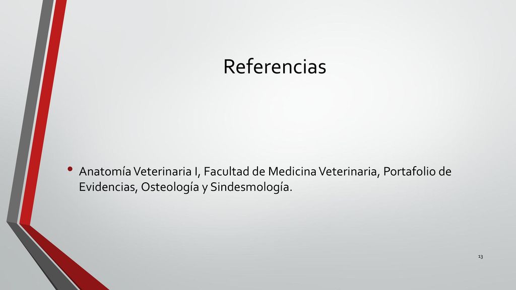 Referencias Anatomía Veterinaria I, Facultad de Medicina Veterinaria, Portafolio de Evidencias, Osteología y Sindesmología.