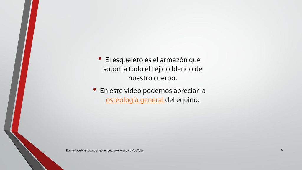 En este video podemos apreciar la osteología general del equino.