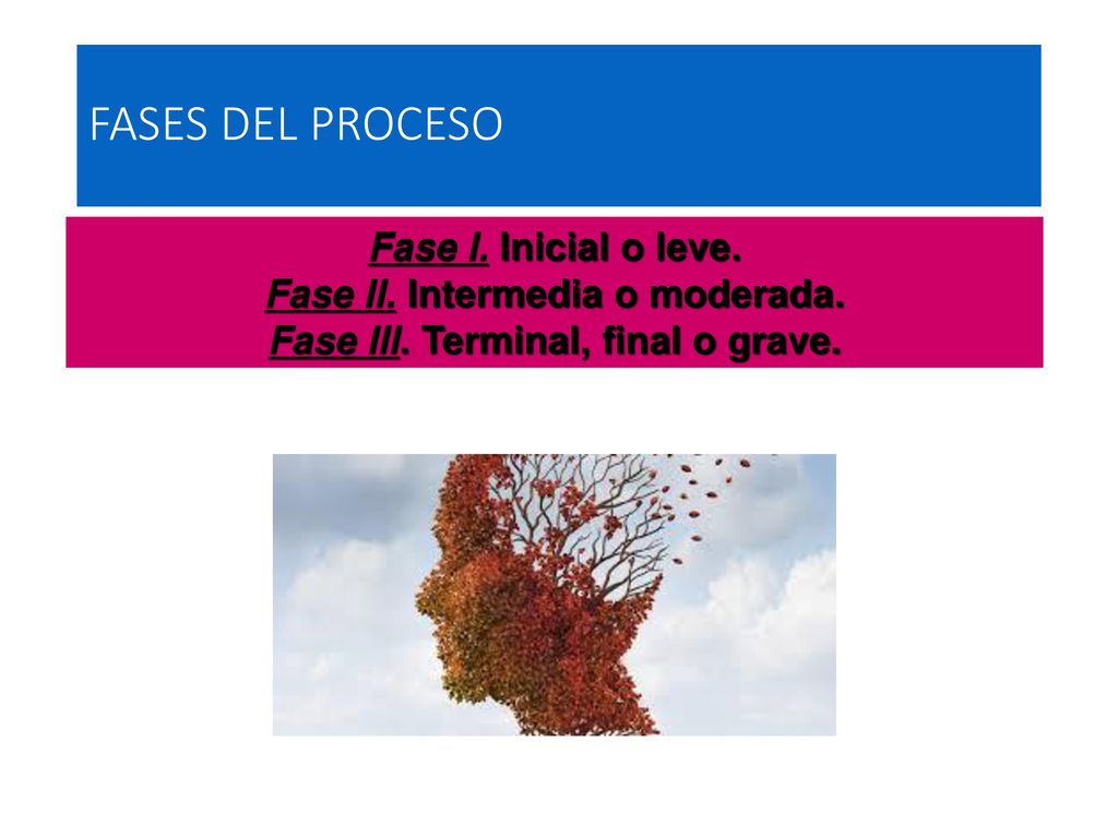 Fase II. Intermedia o moderada. Fase III. Terminal, final o grave.