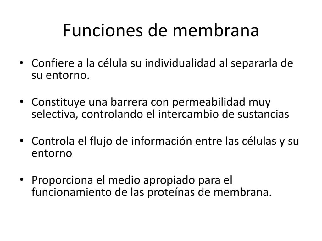 Funciones de membrana Confiere a la célula su individualidad al separarla de su entorno.