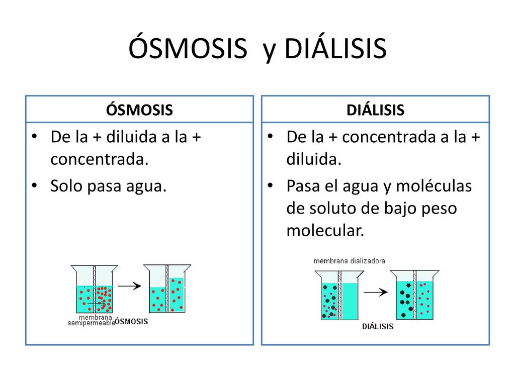 ÓSMOSIS y DIÁLISIS De la + diluida a la + concentrada. Solo pasa agua.
