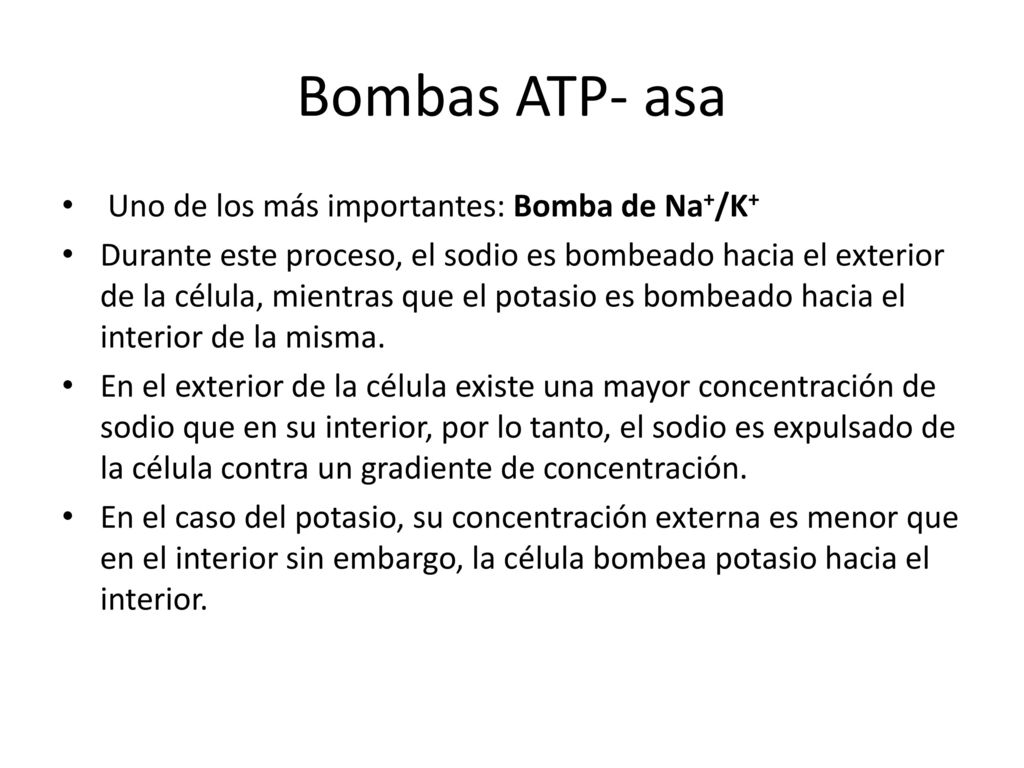 Bombas ATP- asa Uno de los más importantes: Bomba de Na+/K+