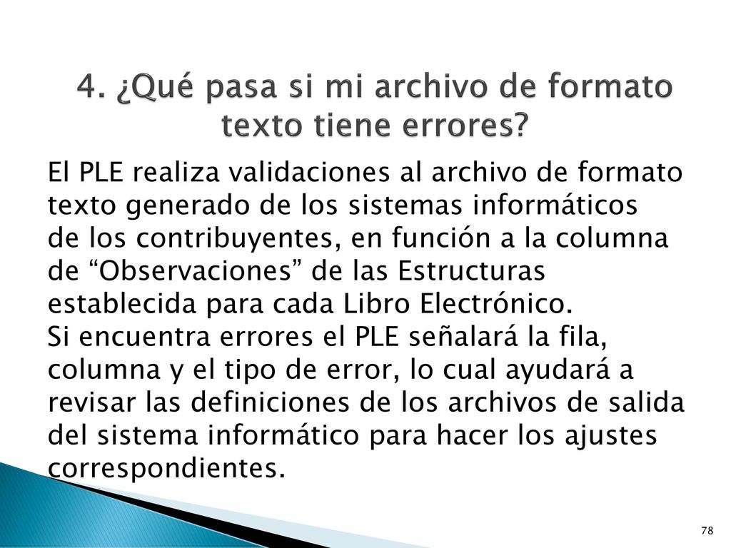 4. ¿Qué pasa si mi archivo de formato texto tiene errores