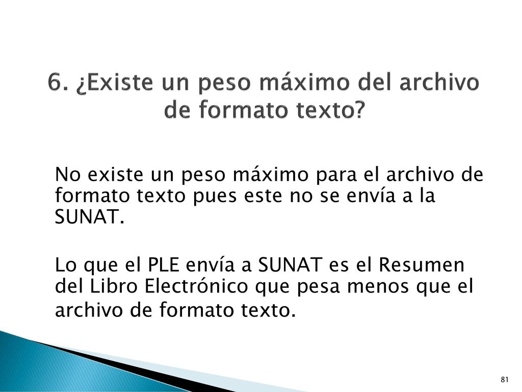 6. ¿Existe un peso máximo del archivo de formato texto