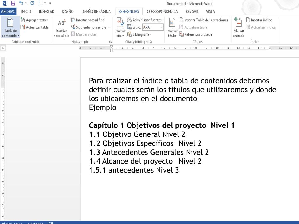 Capítulo 1 Objetivos del proyecto Nivel Objetivo General Nivel 2