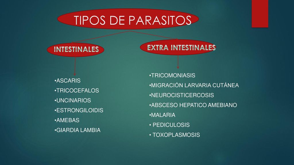 TIPOS DE PARASITOS EXTRA INTESTINALES INTESTINALES TRICOMONIASIS