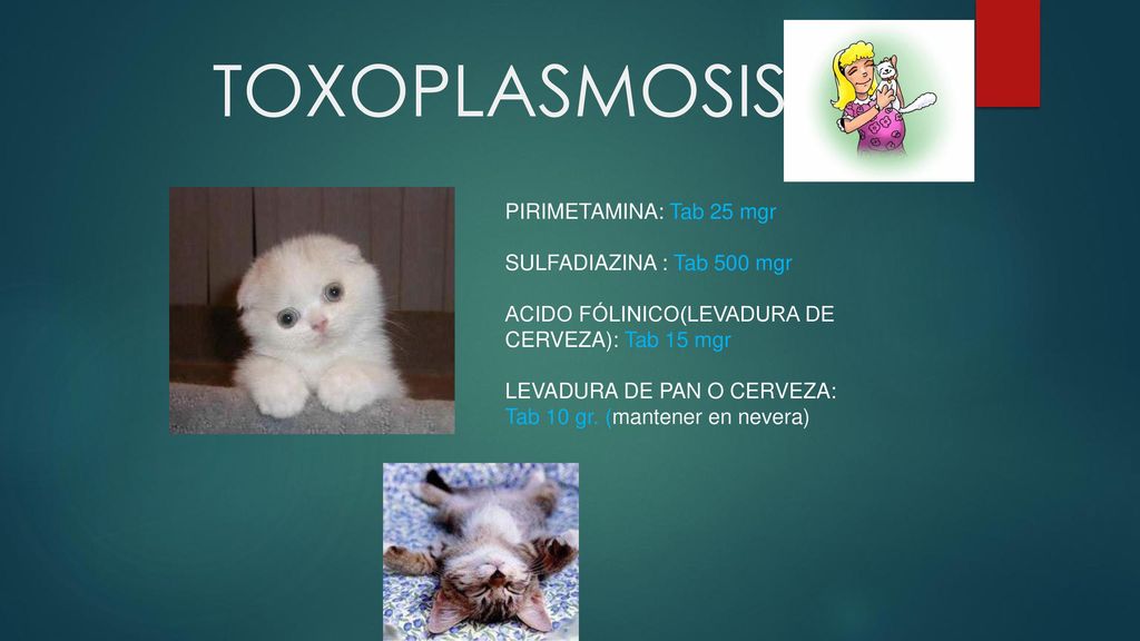 TOXOPLASMOSIS PIRIMETAMINA: Tab 25 mgr SULFADIAZINA : Tab 500 mgr