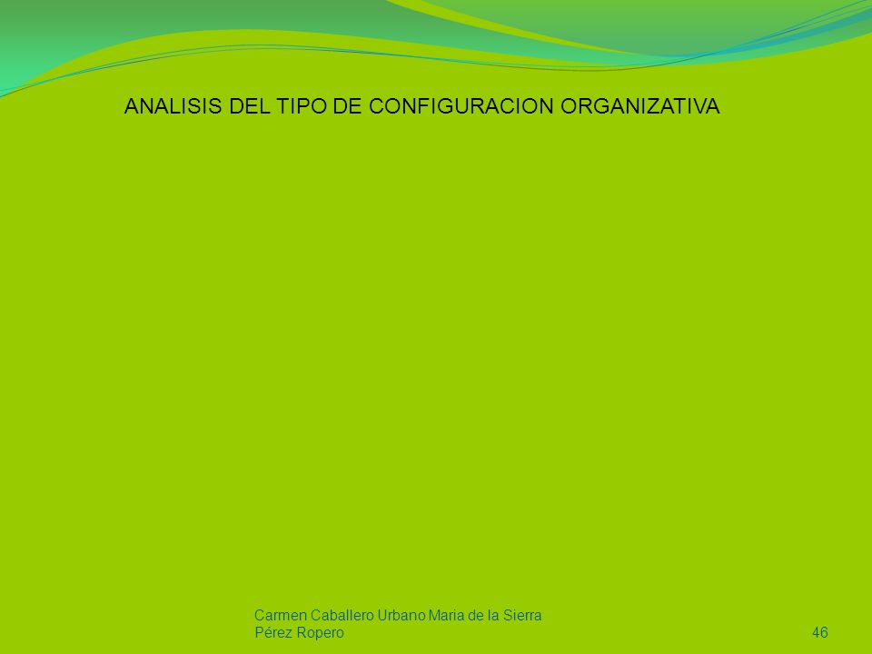 ANALISIS DEL TIPO DE CONFIGURACION ORGANIZATIVA