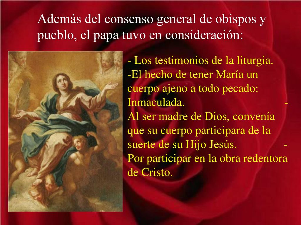 Además del consenso general de obispos y pueblo, el papa tuvo en consideración: